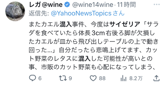 X埋め込み