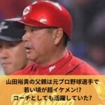 山田裕貴の父親は元プロ野球選手で若い頃が超イケメン!?コーチとしても活躍していた?